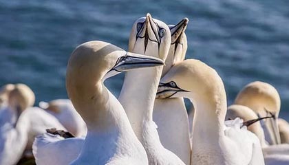 milanAPP下载入口官网-中国足球各项基础技术数据变化，中国足球数据资料